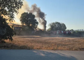 Bursa’da depo ve tarlalık alanda yangın