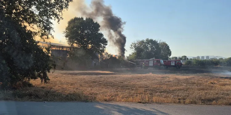 Bursa’da depo ve tarlalık alanda yangın