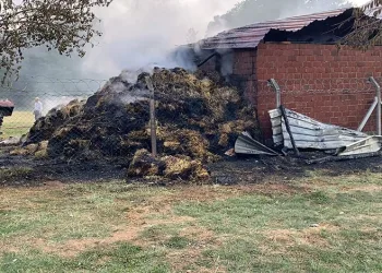 Bursa’da samanlık alevlere teslim oldu
