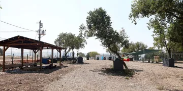 BUÜ’de kontenjanlar doldu
