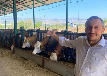 Maaşı 20 gün geciken işçiye Yargıtay’dan emsal karar!