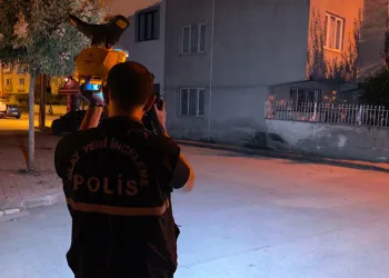 Gülaven şeftalisinin hasadı başladı
