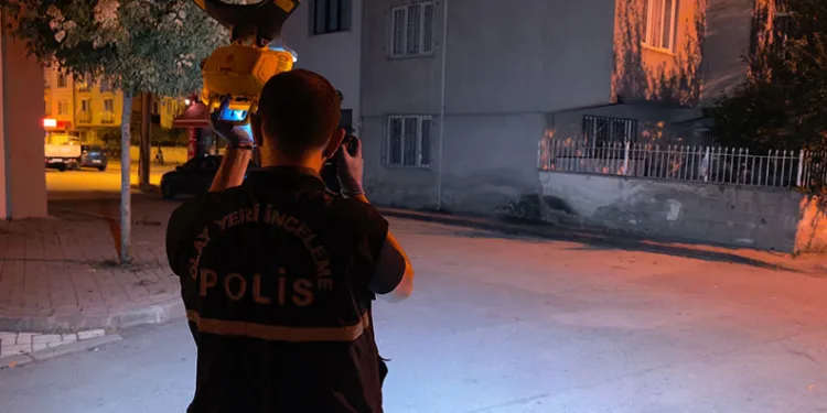 Gülaven şeftalisinin hasadı başladı
