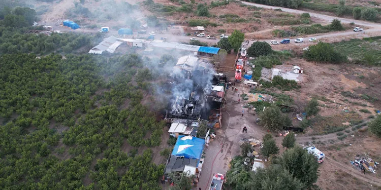 Bursa’da depo ve tarlalık alanda yangın