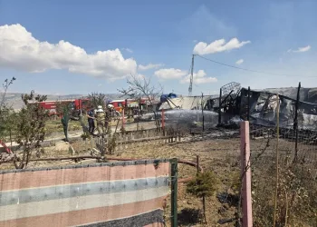 Ordu’da SUV araç devrildi, sürücü yara almadan kurtuldu