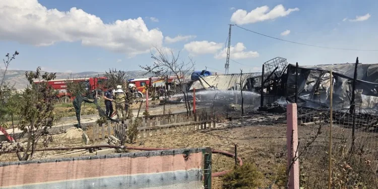 Ordu’da SUV araç devrildi, sürücü yara almadan kurtuldu