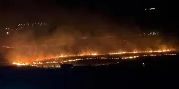 Ordu’da SUV araç devrildi, sürücü yara almadan kurtuldu