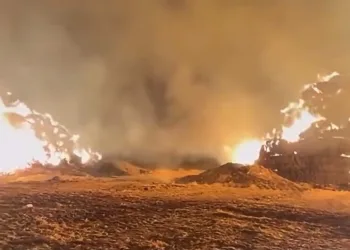 Çanakkale’de jandarmadan uyuşturucu operasyonu: 68 gözaltı