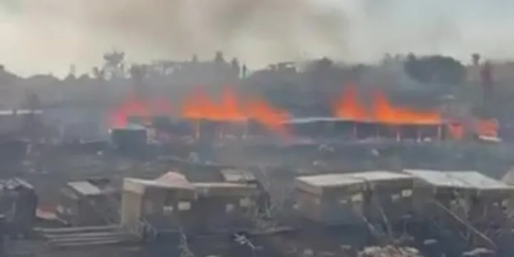 21 bin 550 şahıs sorgulandı 23 kişi yakalandı