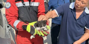 Mersin’de 13 milyar TL’lik yasa dışı bahis operasyonu: 37 tutuklama