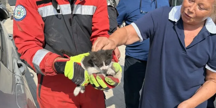 Mersin’de 13 milyar TL’lik yasa dışı bahis operasyonu: 37 tutuklama