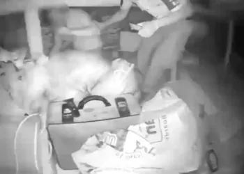 Yemeğine kendi kılını atıp para ödemek istemedi