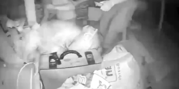 Yemeğine kendi kılını atıp para ödemek istemedi