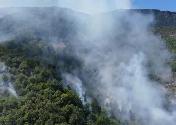 Yemeğine kendi kılını atıp para ödemek istemedi