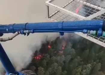 Yemeğine kendi kılını atıp para ödemek istemedi