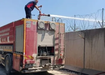 Yemeğine kendi kılını atıp para ödemek istemedi