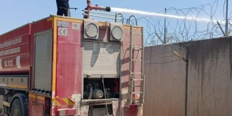 Yemeğine kendi kılını atıp para ödemek istemedi
