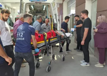 Yemeğine kendi kılını atıp para ödemek istemedi