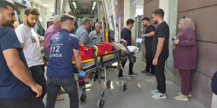 Yemeğine kendi kılını atıp para ödemek istemedi