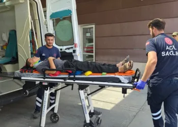 Yemeğine kendi kılını atıp para ödemek istemedi