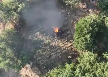 Pendik’te kaçak tütün operasyonu: 440 kilogram tütün ve 328 bin 200 makaron ele geçirildi