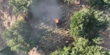 Pendik’te kaçak tütün operasyonu: 440 kilogram tütün ve 328 bin 200 makaron ele geçirildi