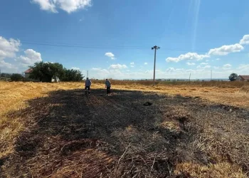 Pendik’te kaçak tütün operasyonu: 440 kilogram tütün ve 328 bin 200 makaron ele geçirildi