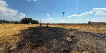 Pendik’te kaçak tütün operasyonu: 440 kilogram tütün ve 328 bin 200 makaron ele geçirildi