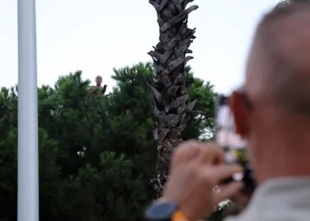 Pendik’te kaçak tütün operasyonu: 440 kilogram tütün ve 328 bin 200 makaron ele geçirildi
