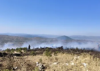 Pendik’te kaçak tütün operasyonu: 440 kilogram tütün ve 328 bin 200 makaron ele geçirildi