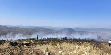 Pendik’te kaçak tütün operasyonu: 440 kilogram tütün ve 328 bin 200 makaron ele geçirildi