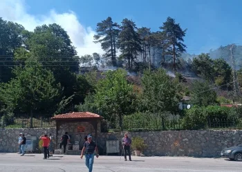 Pendik’te kaçak tütün operasyonu: 440 kilogram tütün ve 328 bin 200 makaron ele geçirildi