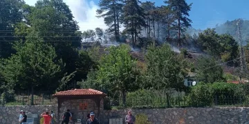 Pendik’te kaçak tütün operasyonu: 440 kilogram tütün ve 328 bin 200 makaron ele geçirildi
