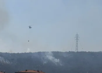 Suç örgütü soruşturmasında Sakarya ayağı: Şirketler mercek altında