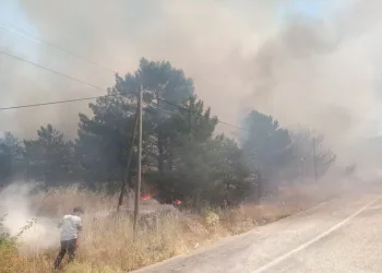 Suç örgütü soruşturmasında Sakarya ayağı: Şirketler mercek altında