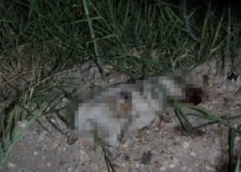Yolcu otobüsünün çarptığı otomobilin sürüklendiği anlar araç kamerasına yansıdı