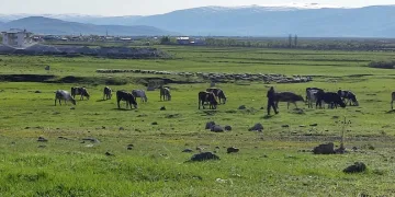 Menteşe’de trafik kazası: 1 yaralı