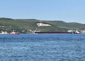 Menteşe’de trafik kazası: 1 yaralı
