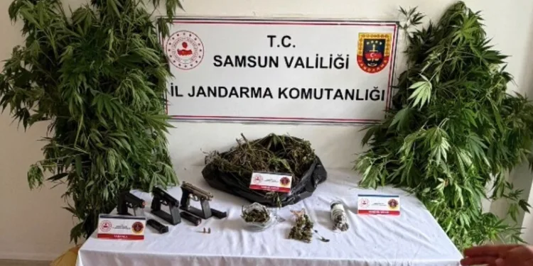 Menteşe’de trafik kazası: 1 yaralı