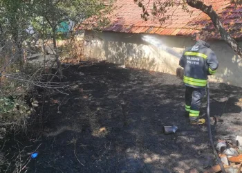 Menteşe’de trafik kazası: 1 yaralı