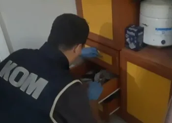 Hatay’da “Çapinler” ve “Sasunlu” gruplarına yönelik eş zamanlı operasyon: 16 şüpheli yakalandı