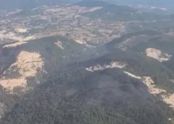Muhtarın erken müdahalesi yangının büyümesini önledi