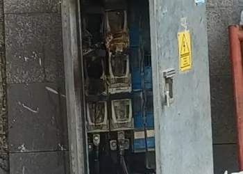 Muhtarın erken müdahalesi yangının büyümesini önledi