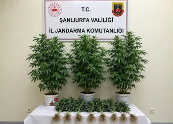 Muhtarın erken müdahalesi yangının büyümesini önledi