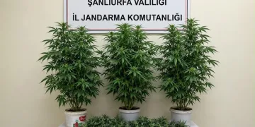 Muhtarın erken müdahalesi yangının büyümesini önledi