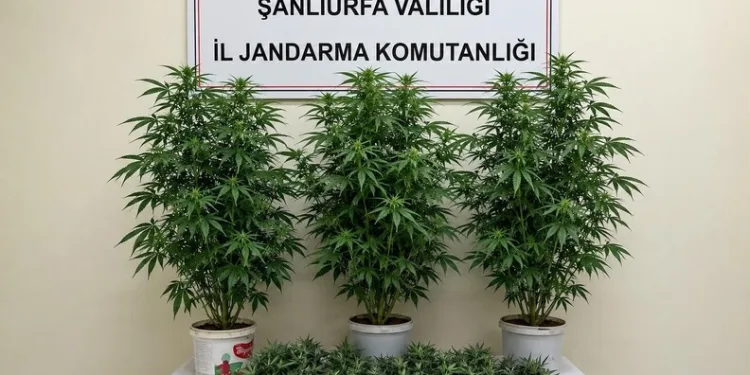 Muhtarın erken müdahalesi yangının büyümesini önledi