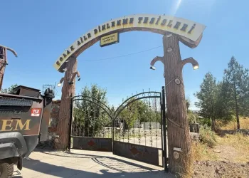 18 yaşına girdi, sırra kadem bastı