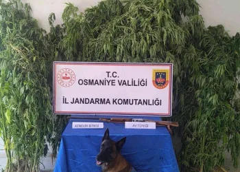 Yolcu otobüsü bariyere çarptı: 5 yaralı
