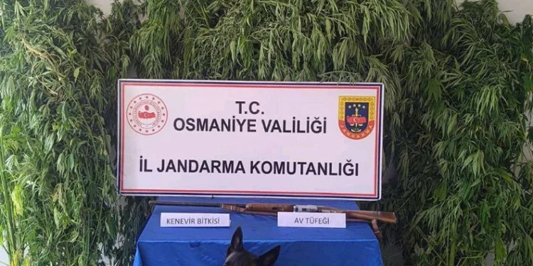 Yolcu otobüsü bariyere çarptı: 5 yaralı