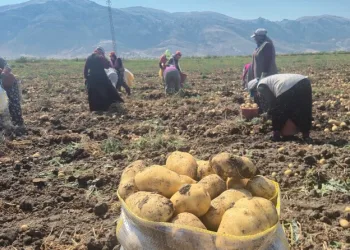 Yolcu otobüsü bariyere çarptı: 5 yaralı